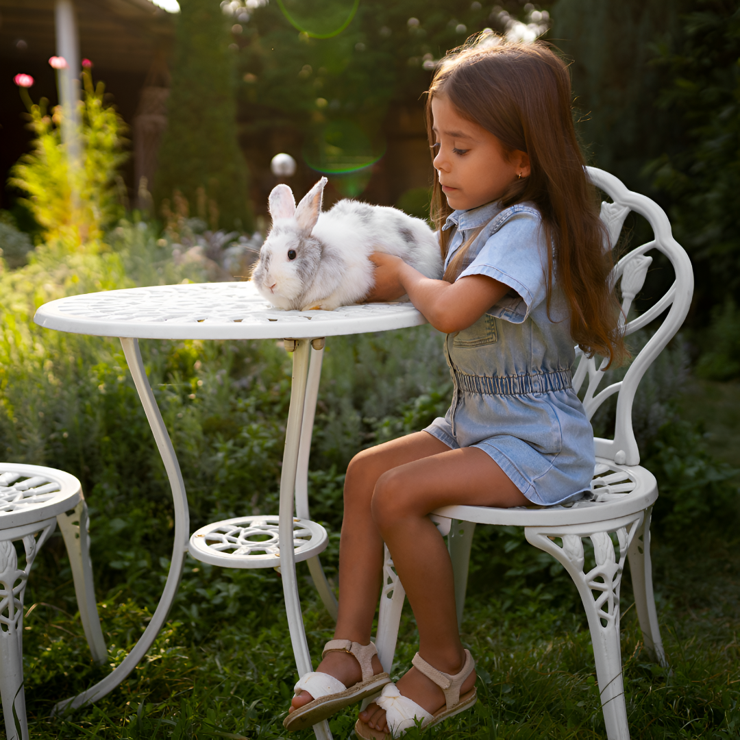 Small Pets, Big Love: Caring for Tiny Companions